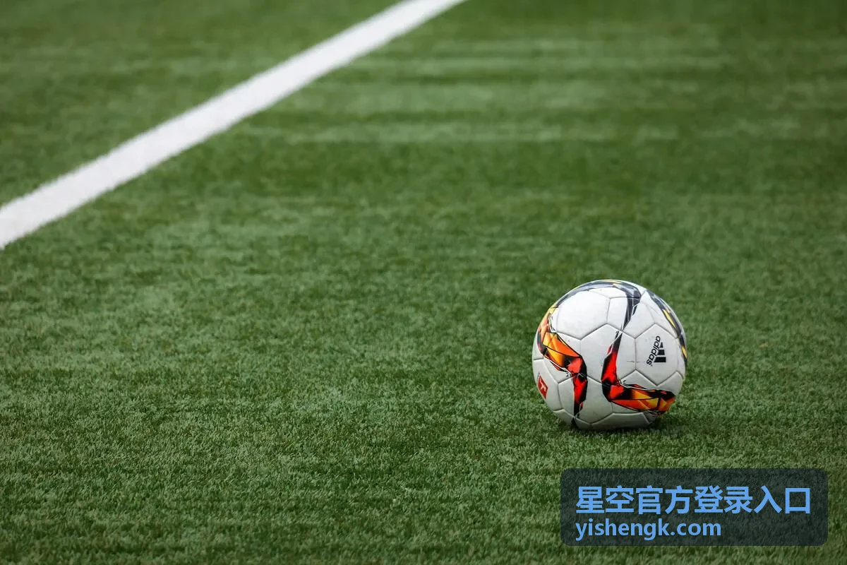 星空官方登录入口登录无响应排查配图